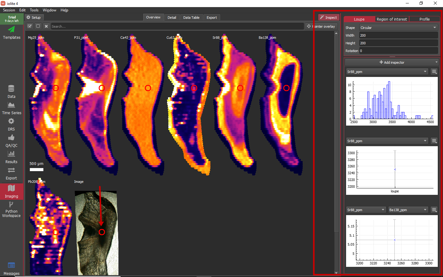 iolite guided examples imaging inspect loupe